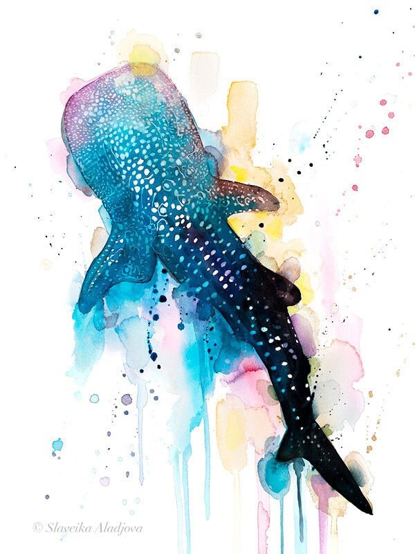 Original Watercolour Painting Whale shark art, animal