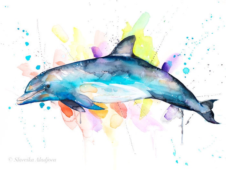 Bottlenose Dolphin Limited Edition Watercolor Art Print by Slaveika ...