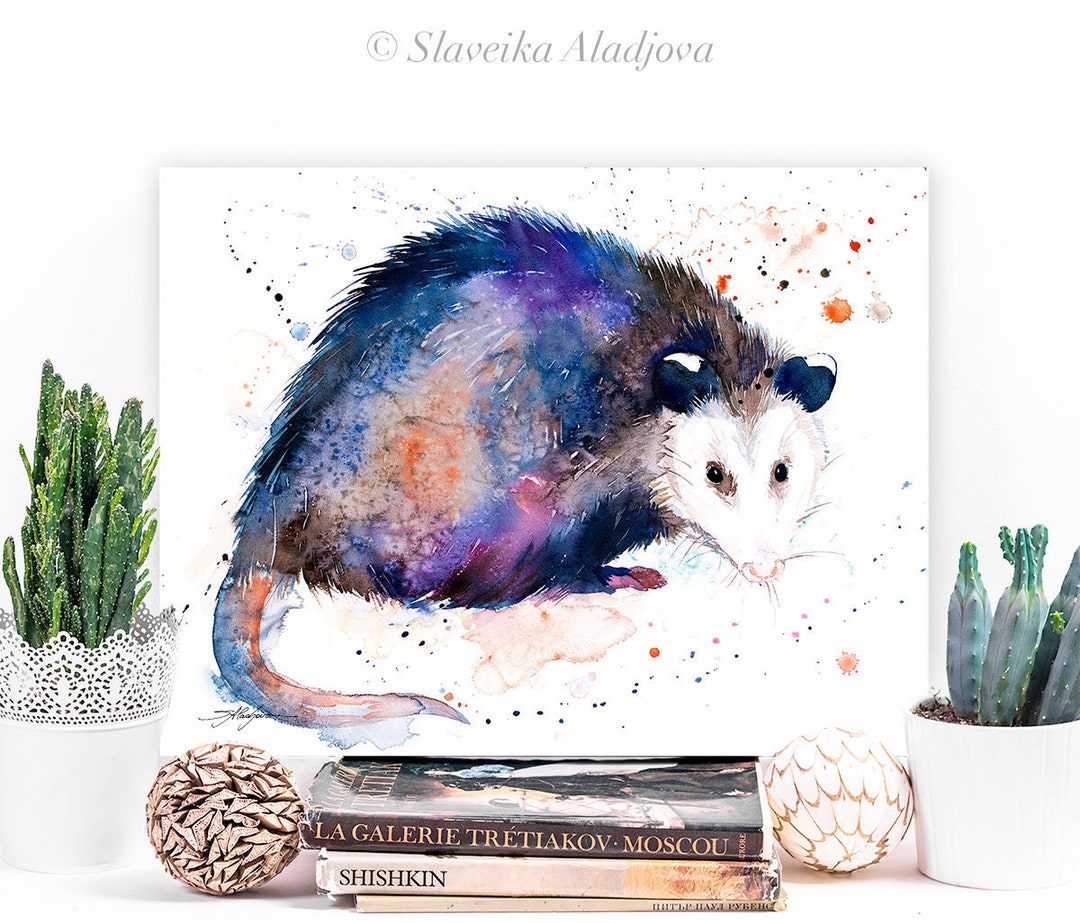 Opossum Watercolor Painting Print by Slaveika Aladjova Art - Etsy