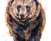 Slaveika Aladjova によるヒグマの水彩画プリント、アート、動物