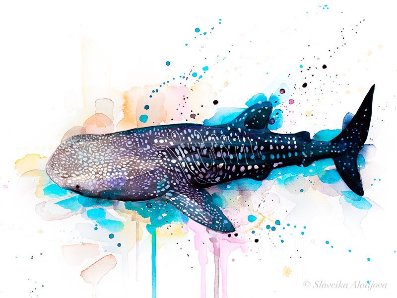 Whale Shark Watercolor Painting Print by Slaveika Aladjova Etsy