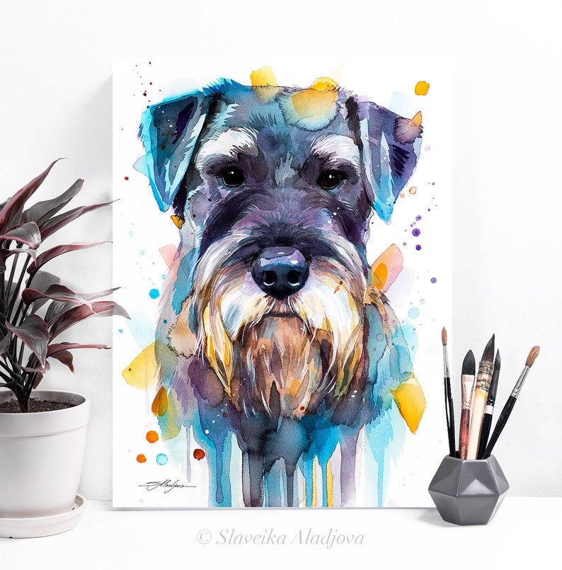 Op de afbeelding: Waterverf schilderij van een zwart-witte Schnauzer met blauwe, gele en oranje waterverf spatten op de achtergrond. De vacht van de hond is realistisch geschilderd, met details van de snorharen en de neus van de hond.