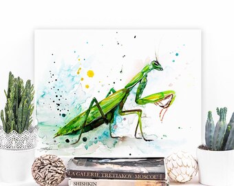 Slaveika Aladjova によるカマキリの水彩画プリント、アート、動物