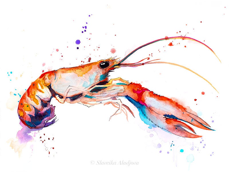 Crawfish watercolor painting print by Slaveika Aladjova art | Etsy