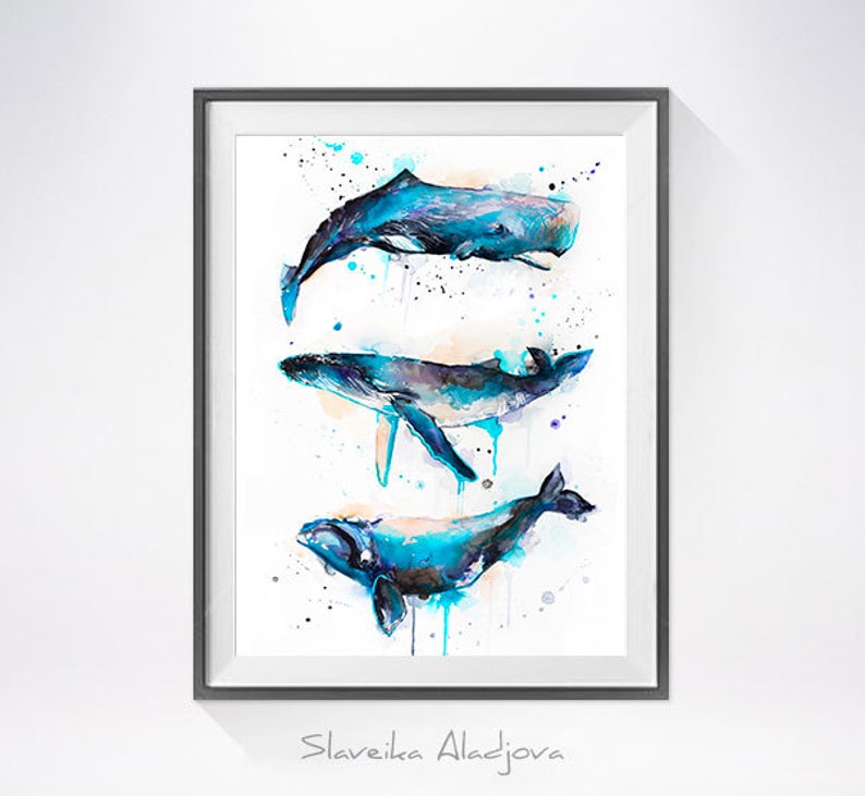Sperm whale, Right whale,Humpback whale watercolor painting printby Slaveika Aladjova, art, animal, illustration, Sea art, sea life art, image 4