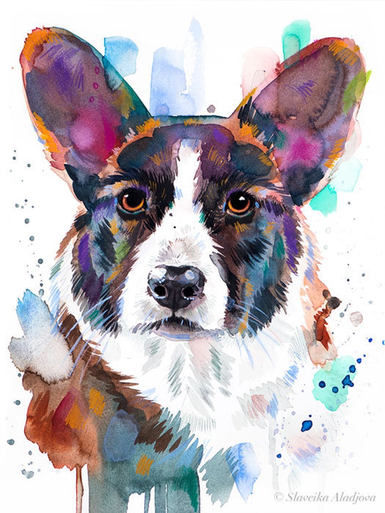 Op de afbeelding: Waterverf schilderij van een Cardigan Welsh Corgi hond met een witte en zwarte vacht. De oren van de hond staan ​​recht en zijn ogen zijn bruin. De achtergrond is een kleurrijk abstract ontwerp met spatten van blauw, groen en roze.