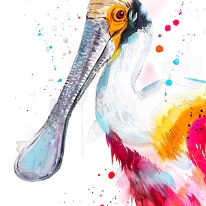 Roseate spoonbill watercolor painting print by Slaveika Aladjova, animal art, illustration, bird, home decor, wall art, portrait, gift image 2