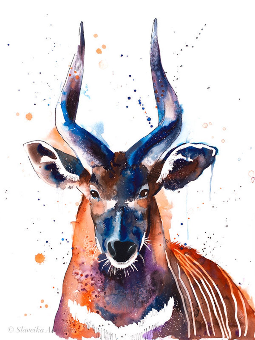 Bongo Antelope Watercolor Painting Print by Slaveika Aladjova, Art ...