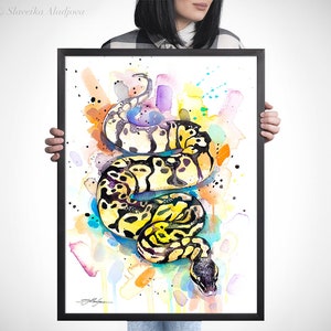 Op de afbeelding: Waterverf schilderij van een gele en zwarte slang met een kleurrijke achtergrond. De slang is opgerold in een spiraalvorm en heeft een zwart oog. De achtergrond is een mix van blauw, groen, geel, oranje en paars.