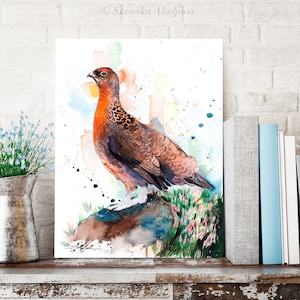 Red grouse watercolor painting print by Slaveika Aladjova,art, animal, illustration, bird, home decor, wall art, gift, portrait,