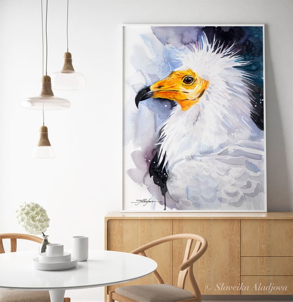 エジプトハゲワシ、旧世界ハゲワシ、シロハゲワシの水彩画プリント