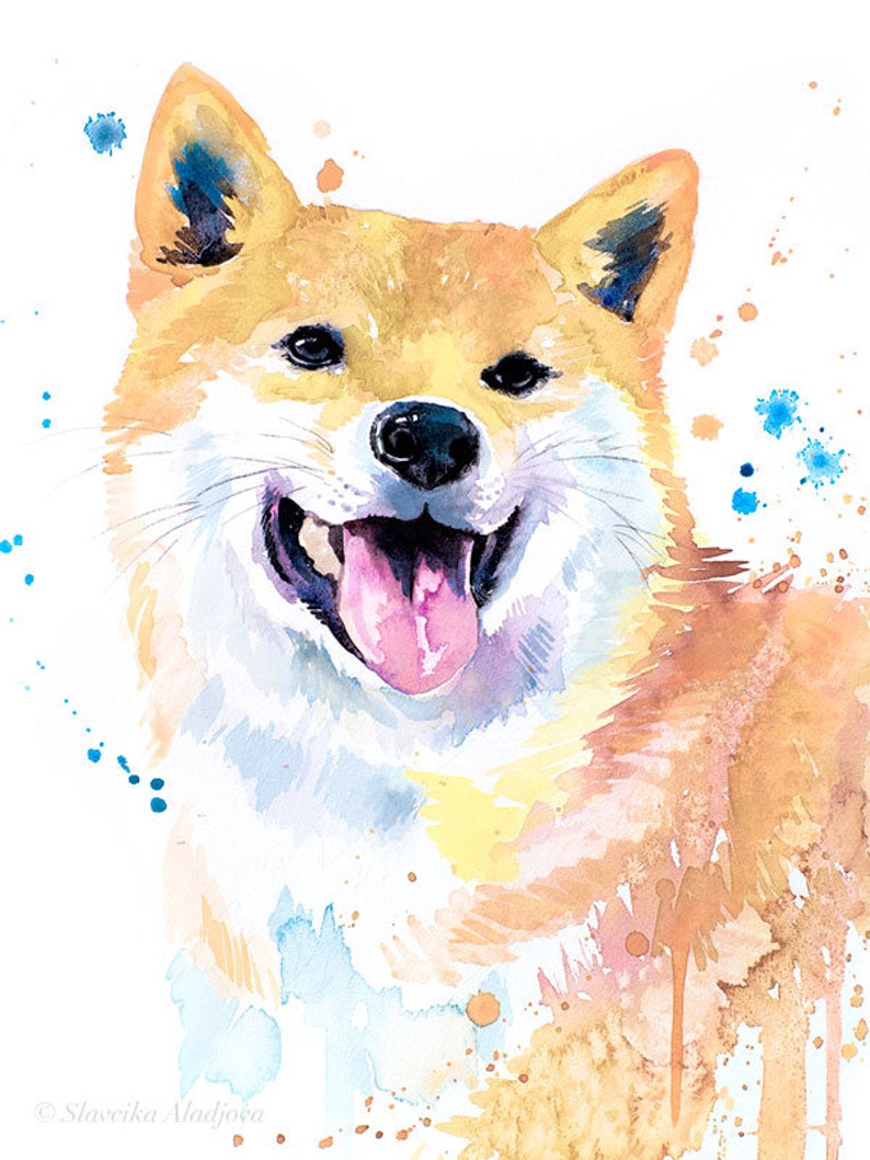 Как нарисовать сиба ину поэтапно