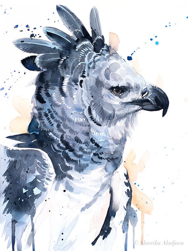 Pintura de acuarela de águila arpía impresa por Slaveika - Etsy México