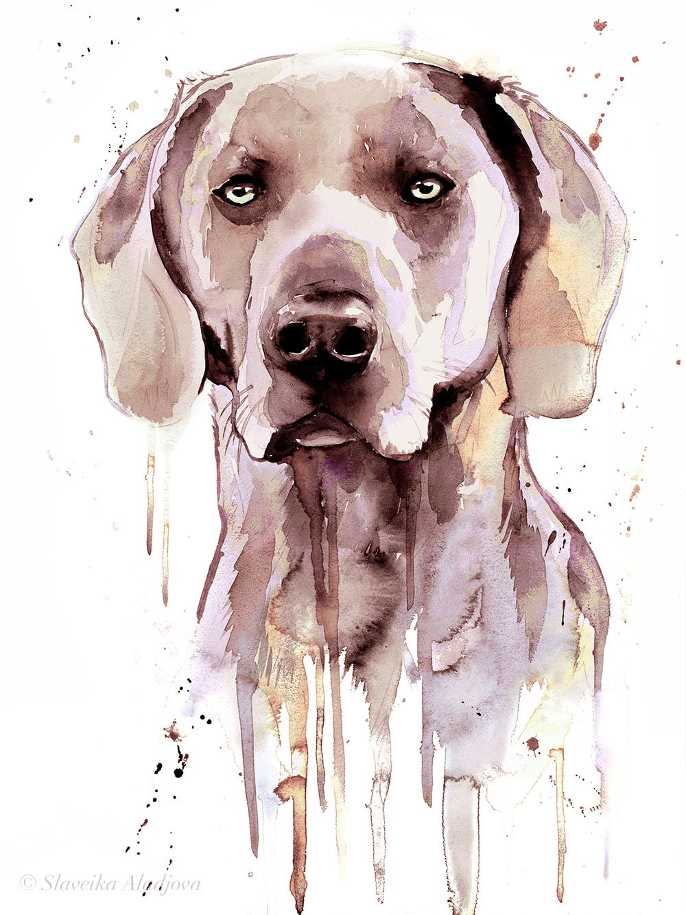 Weimaraner Limited Edition Watercolor Art Print by Slaveika Aladjova ...
