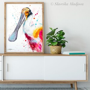 Roseate spoonbill watercolor painting print by Slaveika Aladjova, animal art, illustration, bird, home decor, wall art, portrait, gift image 6