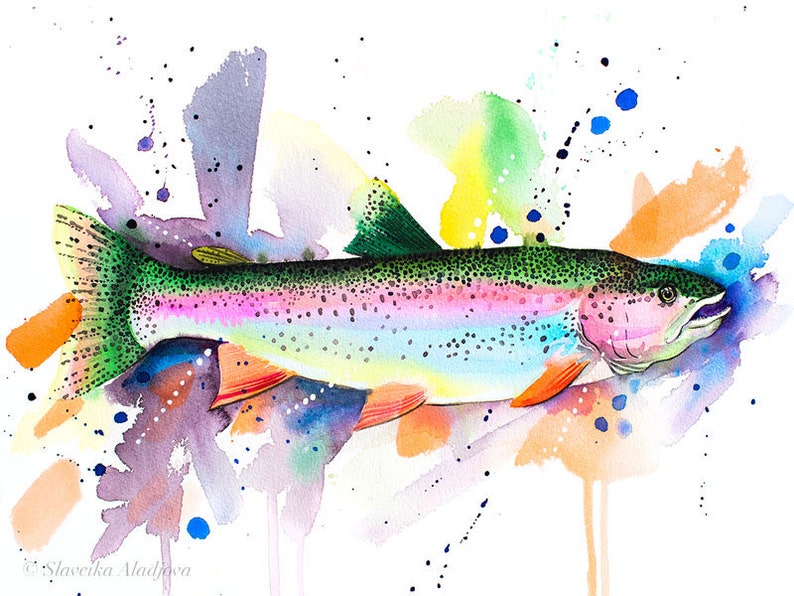 Rainbow Trout Watercolor Painting Print by Slaveika Aladjova Etsy