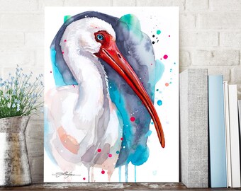 American white ibis Limited Edition Watercolor Art Print by Slaveika Aladjova, art, animal, illustration, bird, home decor, painting