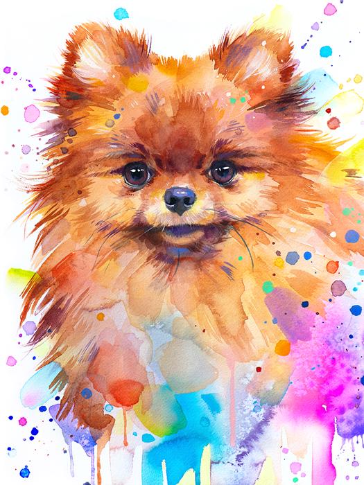 スラヴェイカ・アラジョヴァ作「ポメラニアン犬」限定版水彩画アート