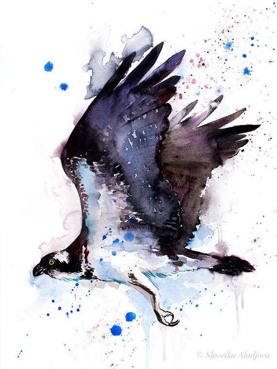 Osprey Watercolor Painting Print By Slaveika Aladjova Art | Etsy Uk