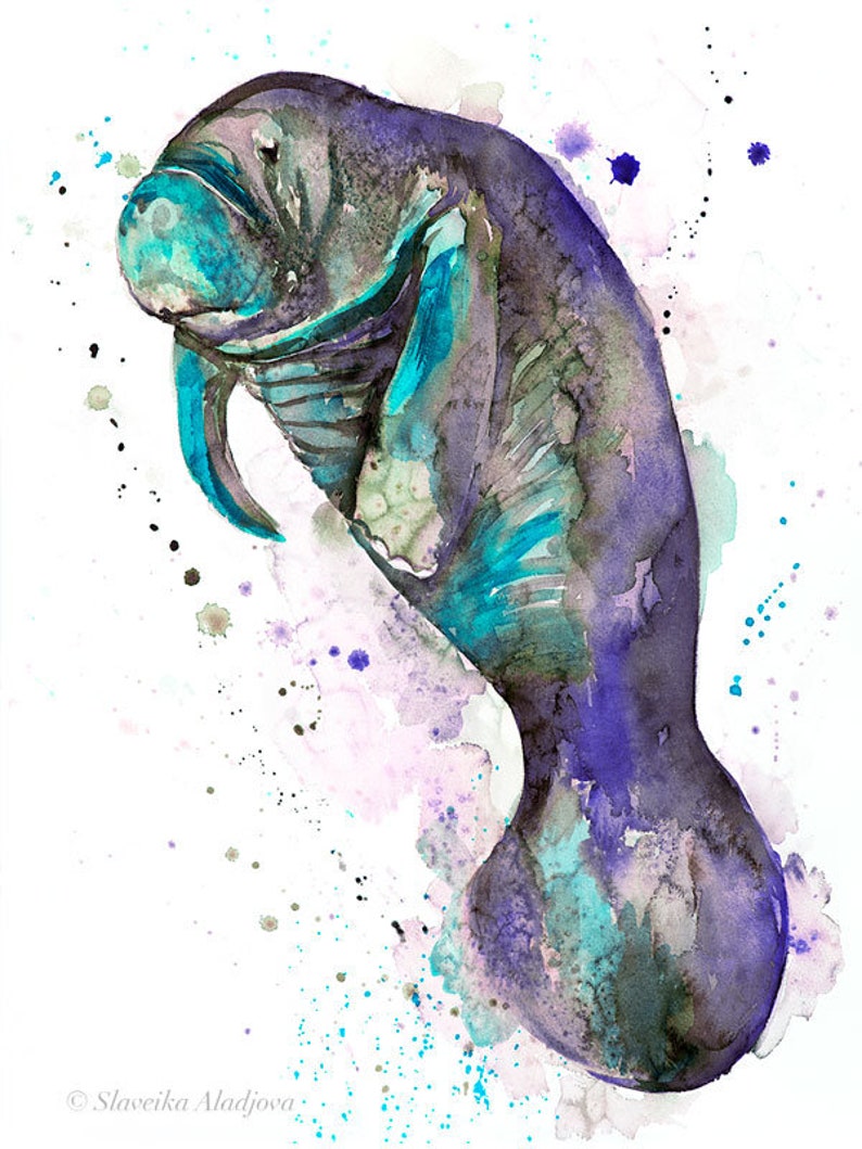 Blue manatee watercolor painting print by Slaveika Aladjova, art, animal, illustration, Sea art, sea life art, home decor, Wall art image 2