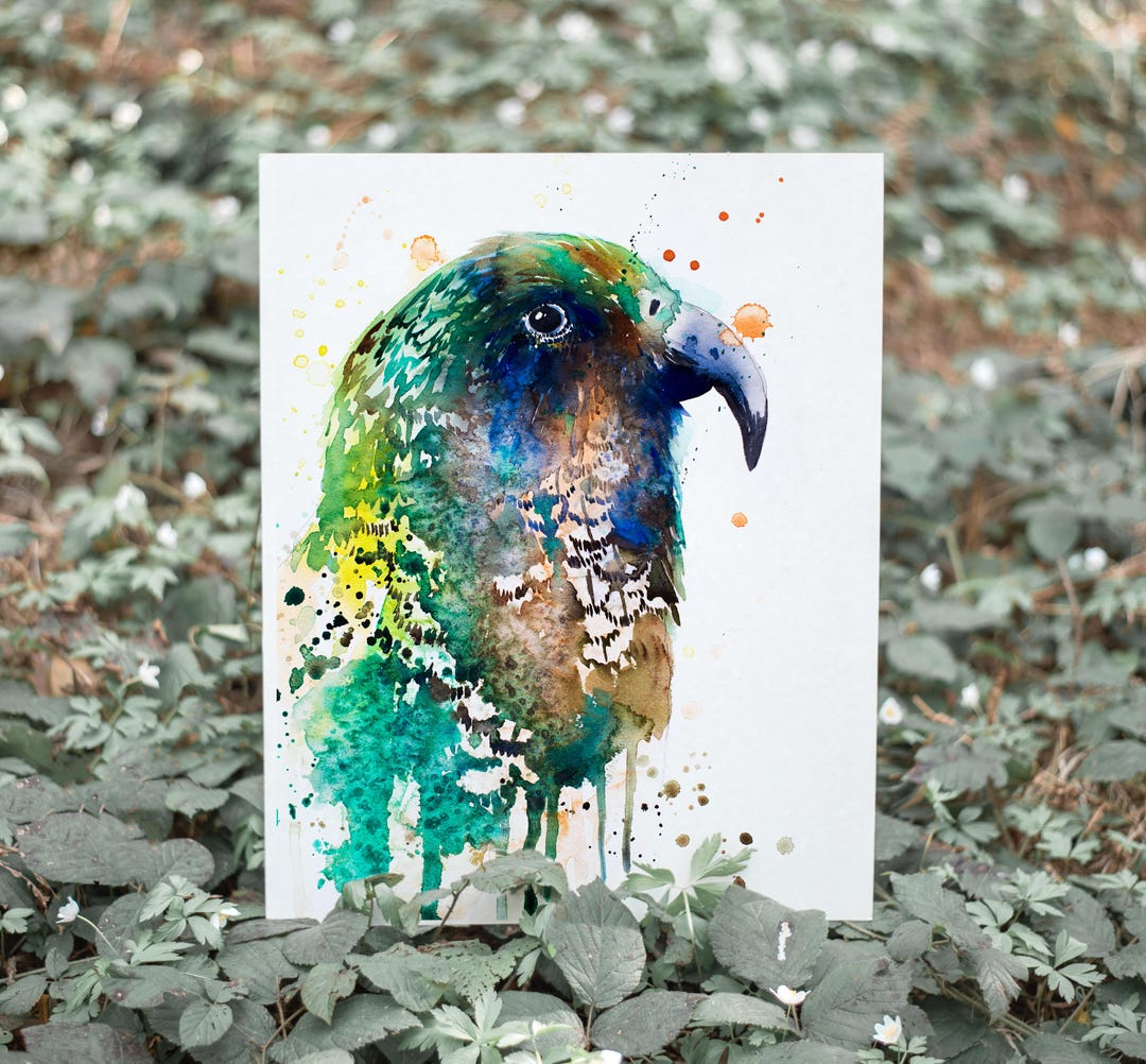 Kea Limited Edition Watercolor Art Print by Slaveika Aladjova, Animal ...