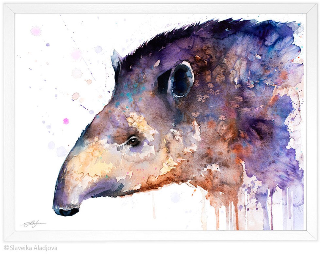 Tapir Watercolor Painting Print by Slaveika Aladjova Art - Etsy