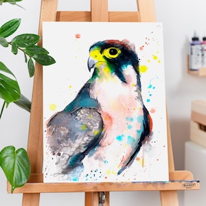 Sokół lannerski, limitowana edycja, akwarela autorstwa Slaveiki Aladjova, zwierzę, ilustracja, ptak, dekoracja do domu, sztuka ścienna, prezent, portret,