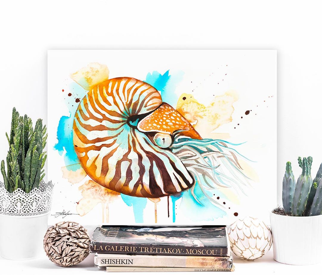 Chambered Nautilus Limited Edition Watercolor Art Print by Slaveika ...