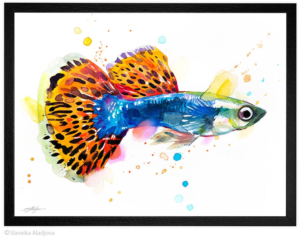Guppy, Rainbow Fish Limited Edition Watercolor Art Print by Slaveika ...