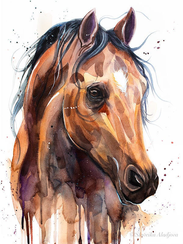 Slaveika Aladjova によるサラブレッド馬の水彩画プリント、動物アート
