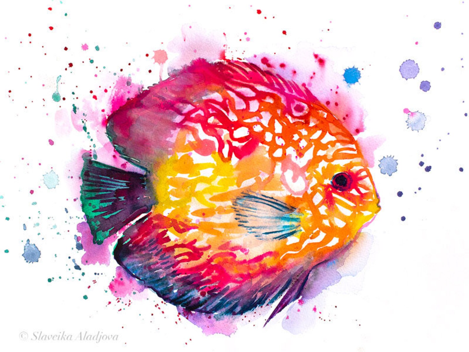 Discus Fish Limited Edition Watercolor Art Print by Slaveika Aladjova ...