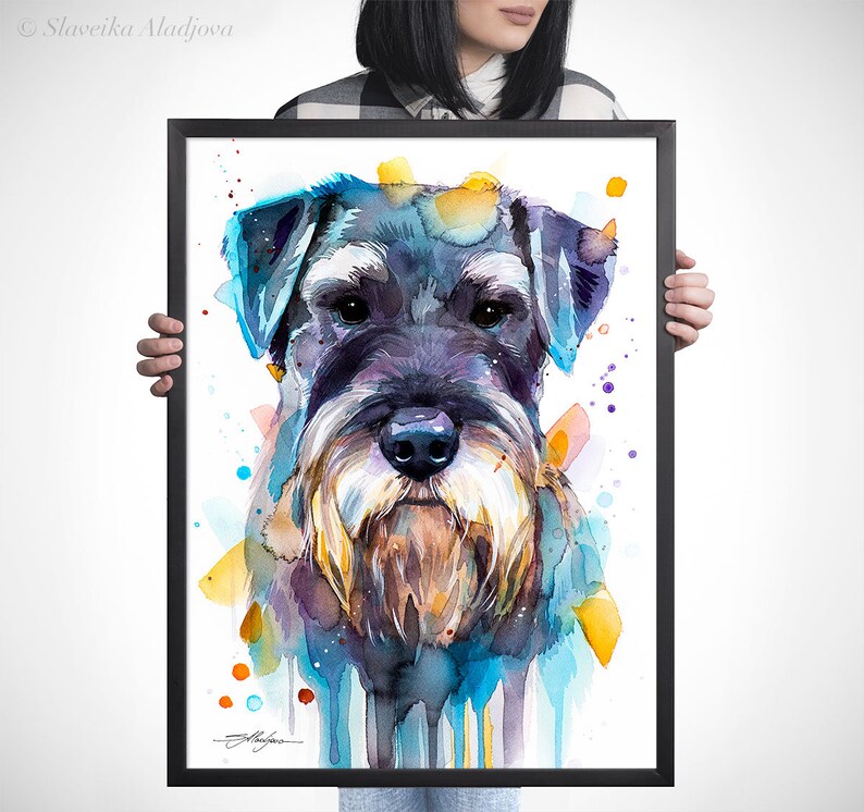 Op de afbeelding: Waterverf schilderij van een zwart-witte miniatuur schnauzer hond met blauwe, gele en oranje waterverf spatten op de achtergrond.