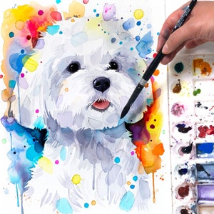 Ritratto di animale domestico Pittura ad acquerello, cane, gatto, cavallo o altra commissione per ritratti di animali. Arte dell'acquerello dipinto a mano