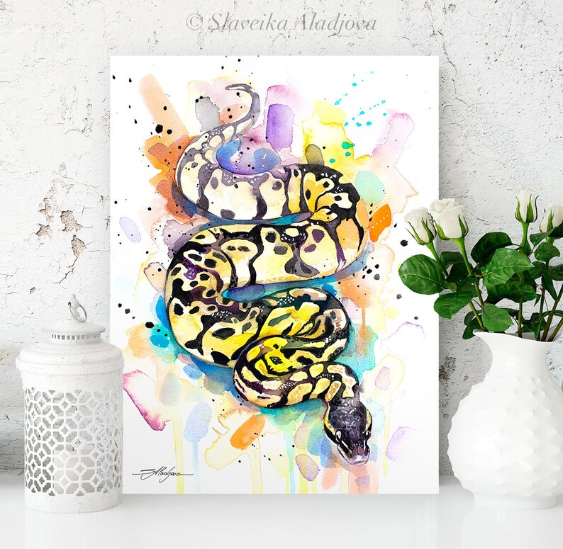 Op de afbeelding: Waterverf schilderij van een gele en zwarte slang met een kleurrijke achtergrond. De slang is opgerold in een spiraal en heeft een zwarte kop. De achtergrond is een mix van blauw, groen, geel, oranje en paars.