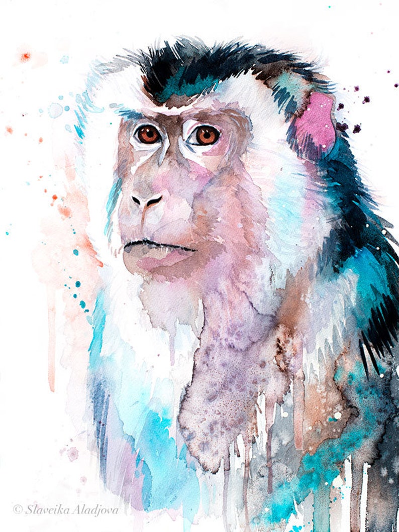 Macaque Watercolor Painting Print by Slaveika Aladjova Art - Etsy