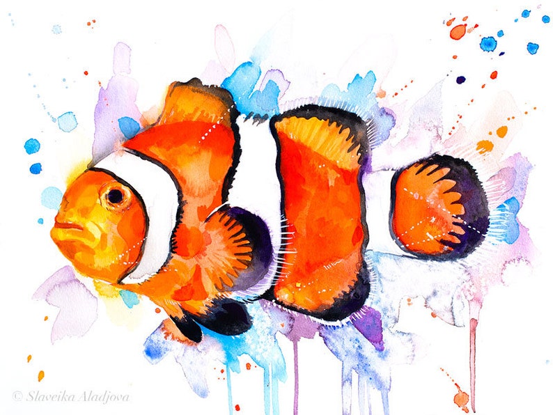 Clownfish, Anemonefish Limited Edition Watercolor Art Print by Slaveika ...