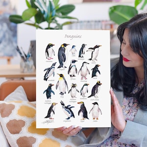 Pinguïns aquarel schilderij print door Slaveika Aladjova, kunst, dier, illustratie, interieur, kinderdagverblijf, dieren in het wild, diersoorten, vogel