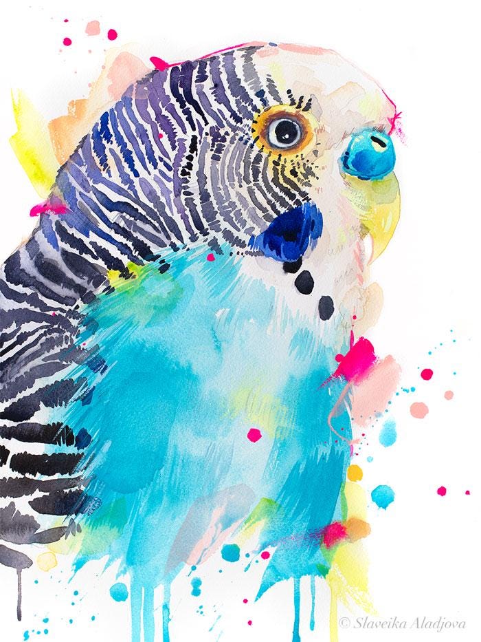 Slaveika Aladjovaによるセキセイインコの水彩画プリント、動物