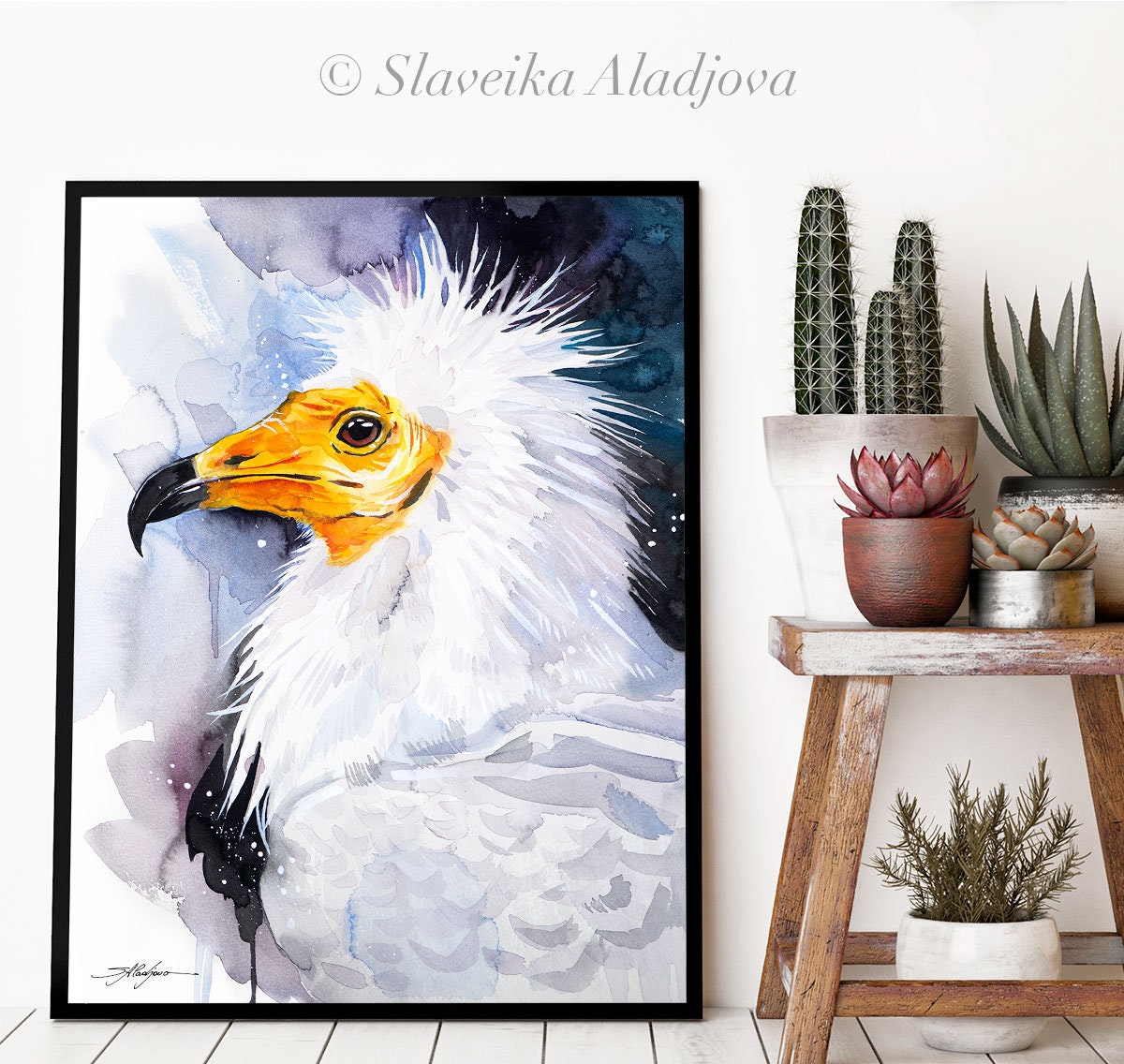 エジプトハゲワシ、旧世界ハゲワシ、シロハゲワシの水彩画プリント