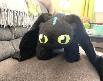 トゥースレス - ナイトフューリーとライトフューリー - ヒックと