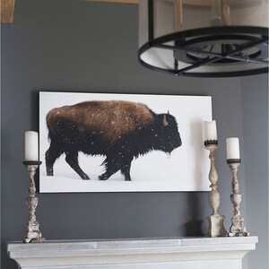 Yellowstone Bison Print Vintage Nature Photography Large Wall Art image 5