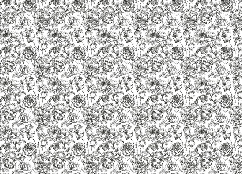 Carta da parati floreale in bianco e nero - Carta da parati per l'asilo nido immagine 5