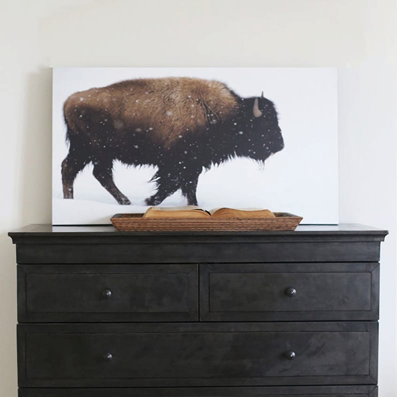 Yellowstone Bison Print Vintage Nature Photography Large Wall Art image 4