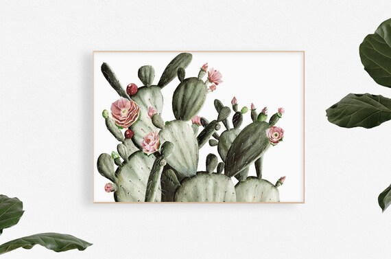 Prickly Pear Mural Large Cactus and Floral Wallpaper - Etsy Prickly Pear Mural Large Cactus and Floral Wallpaper - Etsy