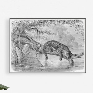 Jaguar Wallpaper Safari Nursery Decor Vintage image 6