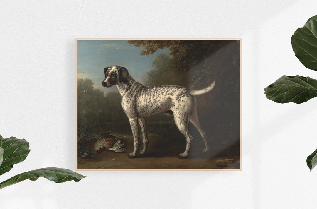 Grey Spotted Hound Print Vintage Wall Art - Etsy