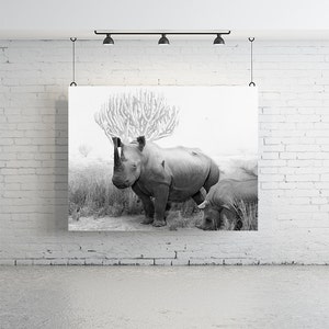 Rhino Print - Vintage Photography | Large Wall Art