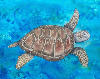 Cayman Sea Turtle Drawing and Watercolor painting, 8x10 print