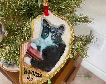 Custom Pet Shell Ornament, Dog or Cat Ornament,  Pet Ornament, Dog or Cat Lover Gift, Cat Christmas Ornament, Personalized Pet Ornament