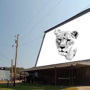 May include: A drive-in movie theater with a large white screen displaying a black and white image of a lion's head. The sign on the front of the building reads "MT. VIEW CLOSED OPEN FRI, SAT, & SUN."